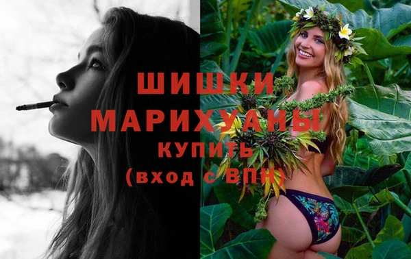 стаф Верхний Тагил