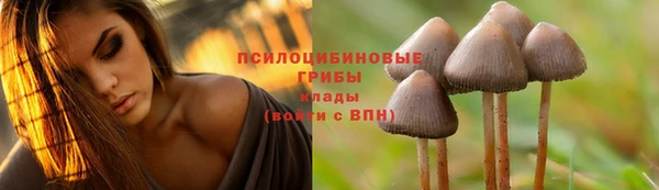 бошки Бронницы