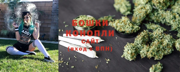гидропоника Бородино