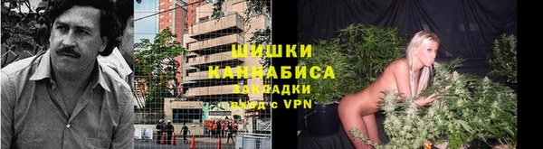 гидропоника Бородино