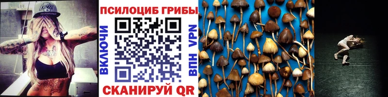 Галлюциногенные грибы GOLDEN TEACHER  Купить закладки  Морозовск 